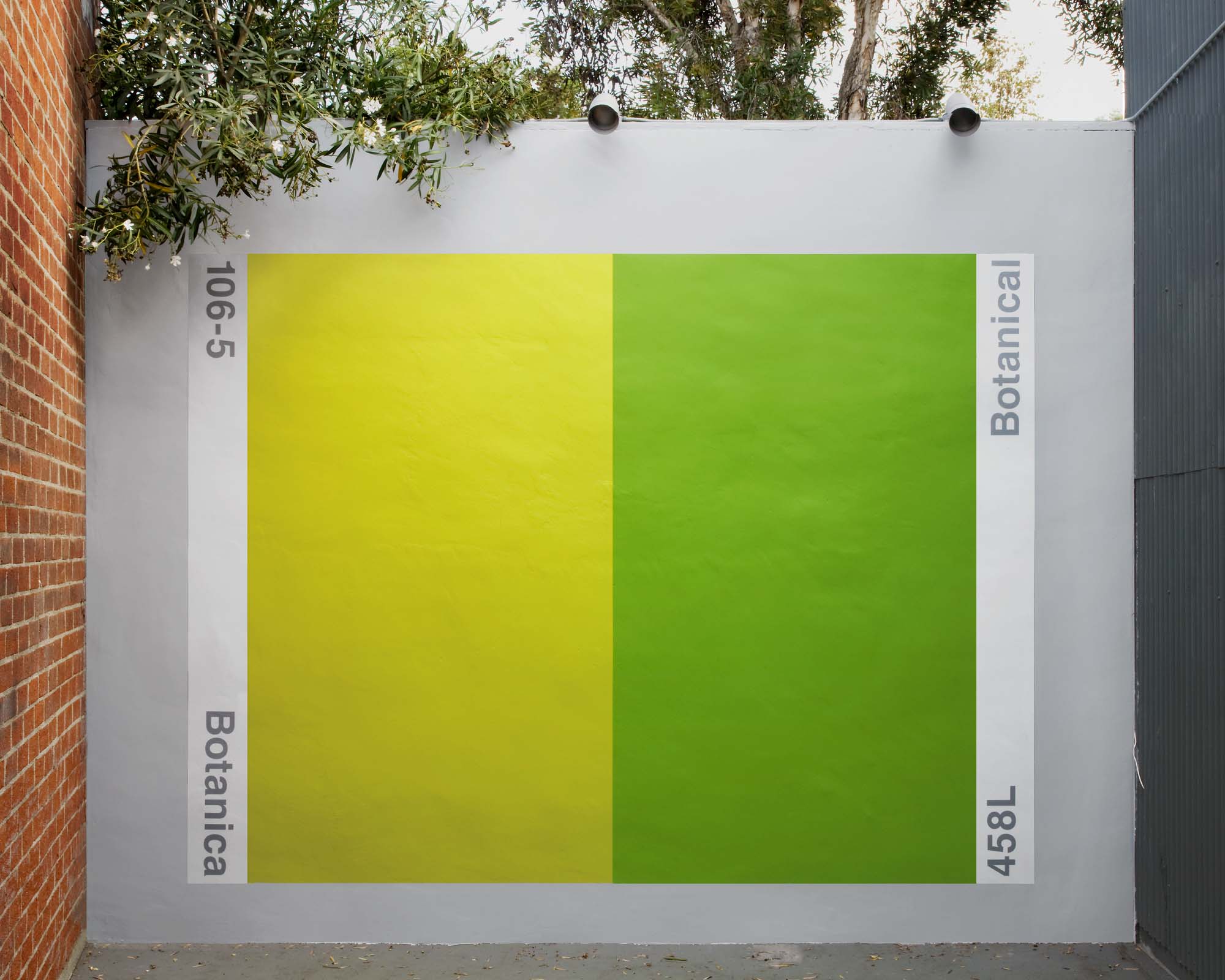 Paint Chip Murals