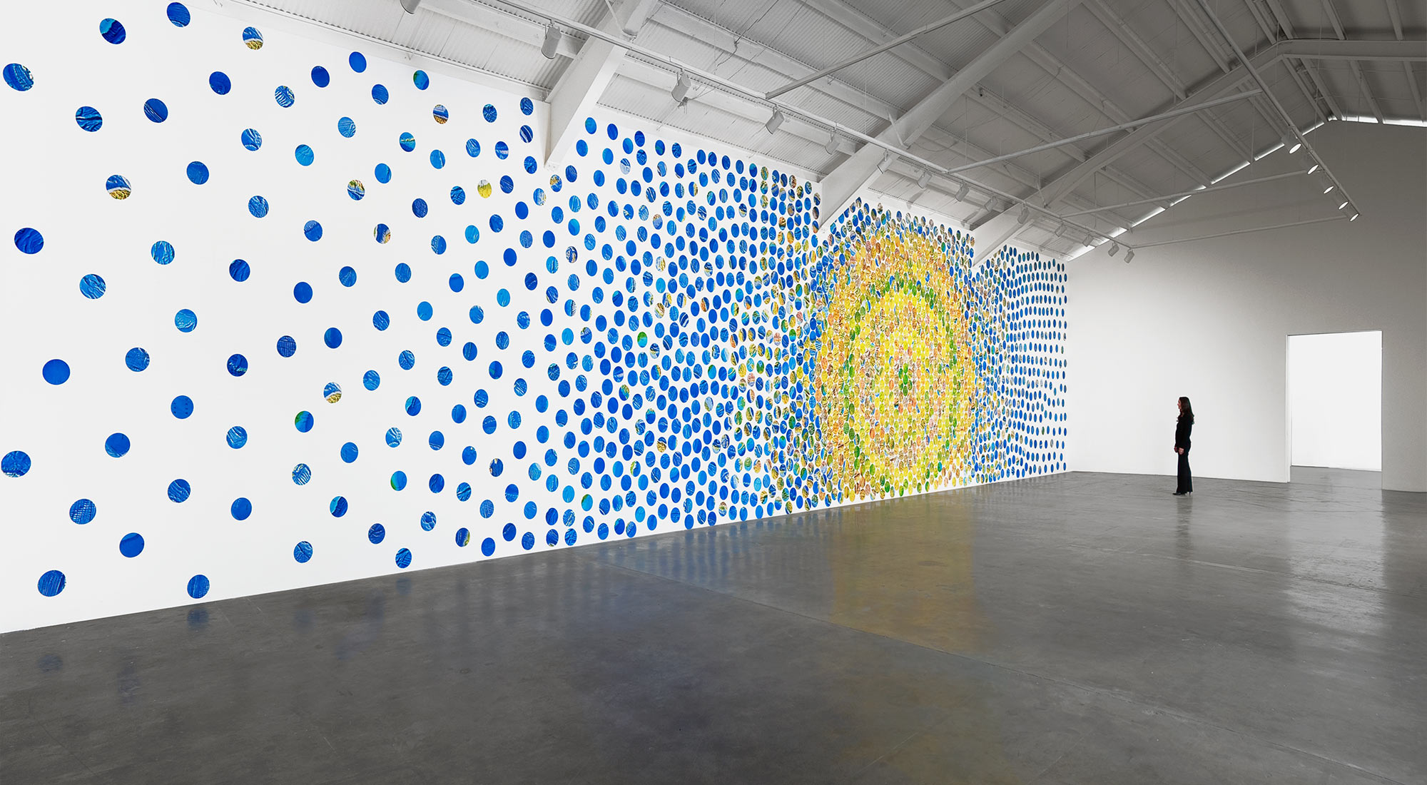 Terra Firma Incognita